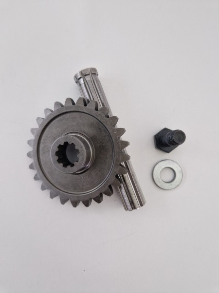 KIT ZAHNRAD Z25 NEU inkl Schraube M10 - R300000081000