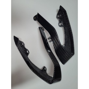 Carbon Rücklichtverkleidung